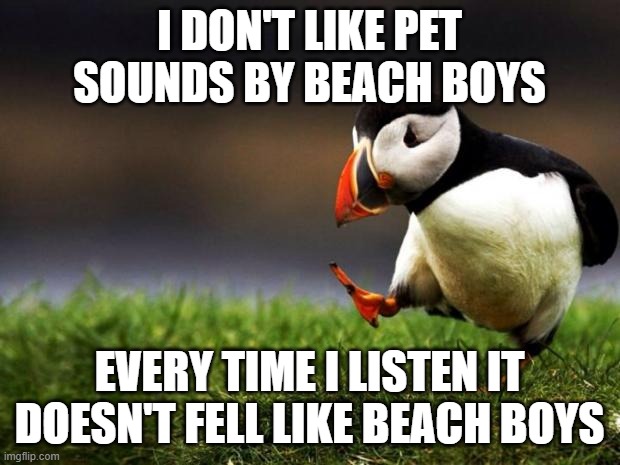 beach boys | I DON'T LIKE PET SOUNDS BY BEACH BOYS; EVERY TIME I LISTEN IT DOESN'T FELL LIKE BEACH BOYS | image tagged in memes,unpopular opinion puffin | made w/ Imgflip meme maker