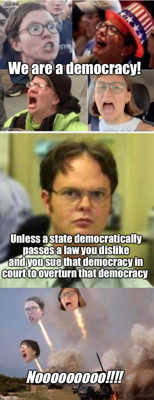 Democracy | We are a democracy! Unless a state democratically passes a law you dislike and you sue that democracy in court to overturn that democracy; Nooooooooo!!!! | image tagged in democracy,memes,politics lol,hypocrisy | made w/ Imgflip meme maker