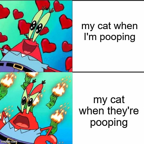 They want snuggles when you poop, but not when they poop. | my cat when I'm pooping; my cat when they're pooping | image tagged in krabs happy/mad,cats,funny cats,poop,funny | made w/ Imgflip meme maker