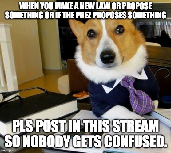 It's getting a little confusing. | WHEN YOU MAKE A NEW LAW OR PROPOSE SOMETHING OR IF THE PREZ PROPOSES SOMETHING; PLS POST IN THIS STREAM SO NOBODY GETS CONFUSED. | image tagged in lawyer corgi dog | made w/ Imgflip meme maker