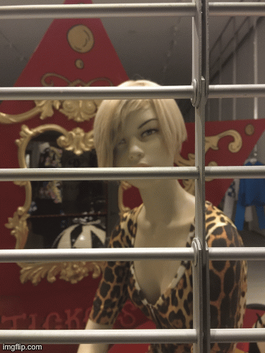 Caged Animal Print | image tagged in gifs,fashion,window design,moschino,caged animal,animal print | made w/ Imgflip images-to-gif maker