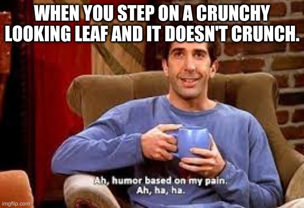 WHEN YOU STEP ON A CRUNCHY LOOKING LEAF AND IT DOESN'T CRUNCH. | image tagged in pain,leaves,crunch | made w/ Imgflip meme maker