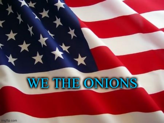 American flag | WE THE ONIONS | image tagged in american flag | made w/ Imgflip meme maker