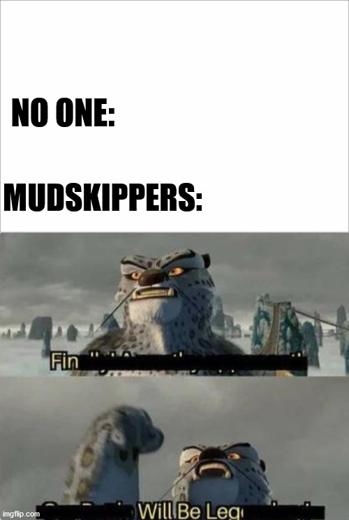 Mudskippers are cool. | NO ONE:; MUDSKIPPERS: | image tagged in memes | made w/ Imgflip meme maker