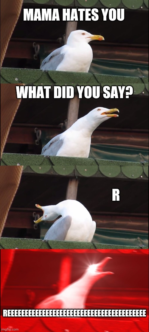 Mama hates you | MAMA HATES YOU; WHAT DID YOU SAY? R; REEEEEEEEEEEEEEEEEEEEEEEEEEEEEEEEEEEEEEEE | image tagged in memes,inhaling seagull | made w/ Imgflip meme maker