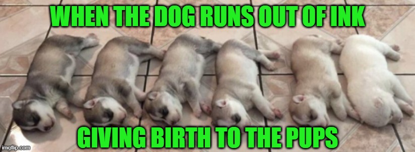 Momma Husky needs a refill... | WHEN THE DOG RUNS OUT OF INK; GIVING BIRTH TO THE PUPS | image tagged in dogs,huskies,out of ink | made w/ Imgflip meme maker