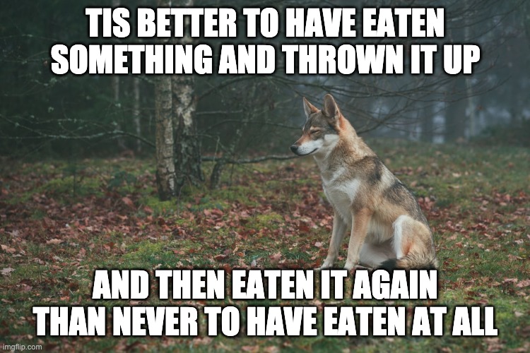 TIS BETTER TO HAVE EATEN SOMETHING AND THROWN IT UP; AND THEN EATEN IT AGAIN THAN NEVER TO HAVE EATEN AT ALL | made w/ Imgflip meme maker