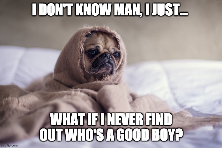 I DON'T KNOW MAN, I JUST... WHAT IF I NEVER FIND OUT WHO'S A GOOD BOY? | made w/ Imgflip meme maker