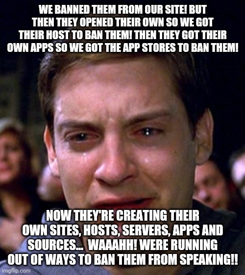 He cries out as a victim as he censors you | WE BANNED THEM FROM OUR SITE! BUT THEN THEY OPENED THEIR OWN SO WE GOT THEIR HOST TO BAN THEM! THEN THEY GOT THEIR OWN APPS SO WE GOT THE APP STORES TO BAN THEM! NOW THEY'RE CREATING THEIR OWN SITES, HOSTS, SERVERS, APPS AND SOURCES...  WAAAHH! WERE RUNNING OUT OF WAYS TO BAN THEM FROM SPEAKING!! | image tagged in crying peter parker | made w/ Imgflip meme maker