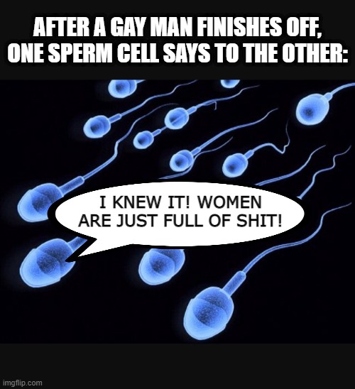 Sperm Reality | AFTER A GAY MAN FINISHES OFF, ONE SPERM CELL SAYS TO THE OTHER:; I KNEW IT! WOMEN ARE JUST FULL OF SHIT! | image tagged in inspirational sperm | made w/ Imgflip meme maker