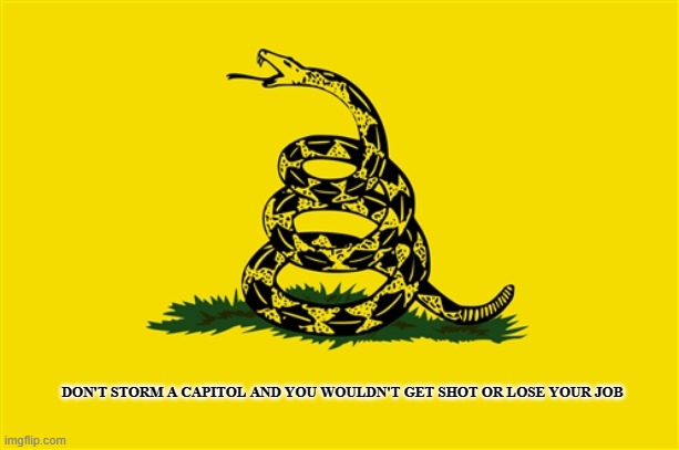 Its true. | DON'T STORM A CAPITOL AND YOU WOULDN'T GET SHOT OR LOSE YOUR JOB | image tagged in dont tread on me | made w/ Imgflip meme maker