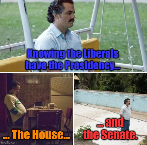 Sad Pablo Escobar Meme | Knowing the Liberals have the Presidency... ... The House... ... and the Senate. | image tagged in memes,sad pablo escobar | made w/ Imgflip meme maker