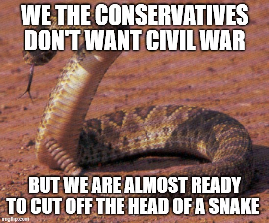 snake bite  | WE THE CONSERVATIVES  DON'T WANT CIVIL WAR; BUT WE ARE ALMOST READY TO CUT OFF THE HEAD OF A SNAKE | image tagged in snake bite | made w/ Imgflip meme maker