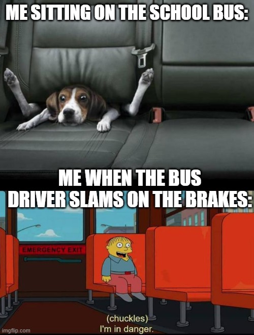 ME SITTING ON THE SCHOOL BUS:; ME WHEN THE BUS DRIVER SLAMS ON THE BRAKES: | image tagged in funny dog back seat,im in danger | made w/ Imgflip meme maker