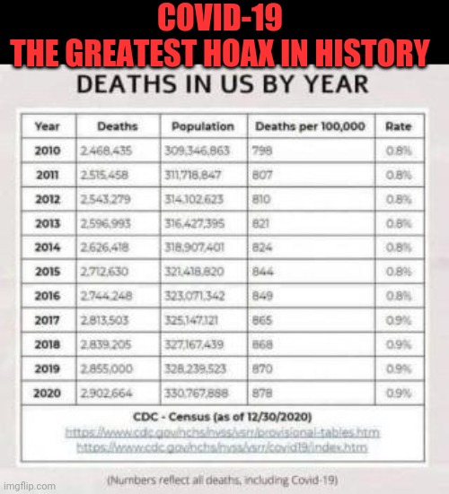 Covid-19 The Greatest Hoax In History | COVID-19
THE GREATEST HOAX IN HISTORY | image tagged in covidiots,hoax,liberal agenda,voter fraud,new world order | made w/ Imgflip meme maker