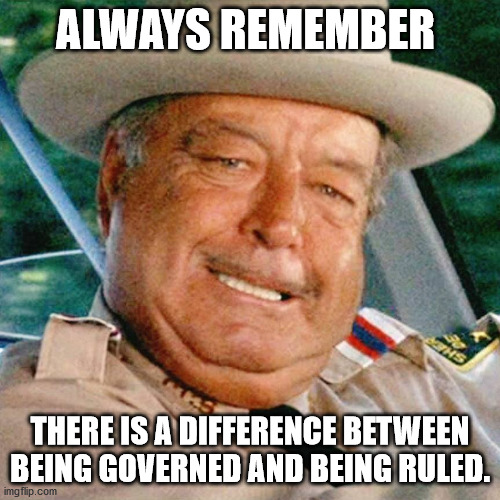 ruled | ALWAYS REMEMBER; THERE IS A DIFFERENCE BETWEEN BEING GOVERNED AND BEING RULED. | image tagged in ruled | made w/ Imgflip meme maker