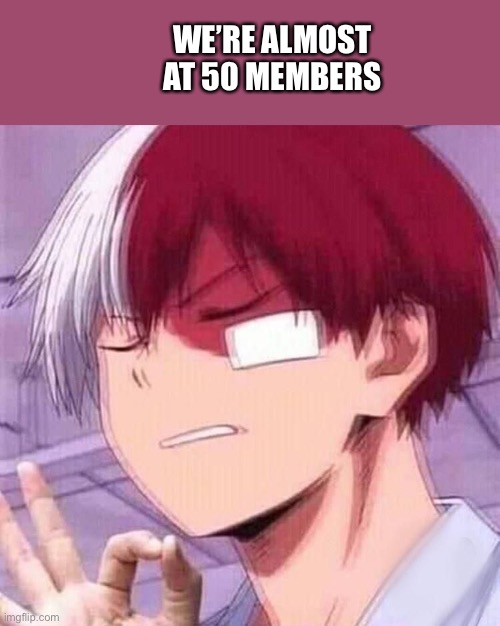 We’re almost at 50 members! |  WE’RE ALMOST AT 50 MEMBERS | image tagged in todoroki,i cant tag,whats tagging,huh | made w/ Imgflip meme maker