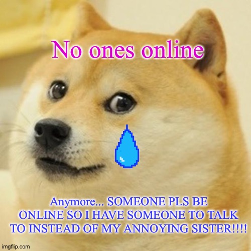 SOMEONE PLS BE ONLINE!!! | No ones online; Anymore... SOMEONE PLS BE ONLINE SO I HAVE SOMEONE TO TALK TO INSTEAD OF MY ANNOYING SISTER!!!! | image tagged in memes,doge,fnaf | made w/ Imgflip meme maker