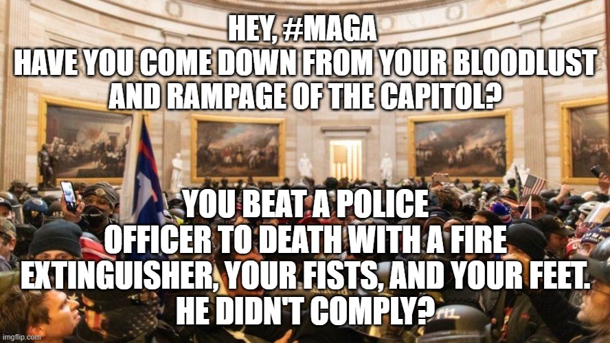 Capitol, Capitol Riots, MAGA, Donald Trump, Republicans, Rioters, Thugs, Murderers, Proud Boys | HEY, #MAGA 
HAVE YOU COME DOWN FROM YOUR BLOODLUST AND RAMPAGE OF THE CAPITOL? YOU BEAT A POLICE OFFICER TO DEATH WITH A FIRE EXTINGUISHER, YOUR FISTS, AND YOUR FEET.
HE DIDN'T COMPLY? | image tagged in capitol protestors | made w/ Imgflip meme maker
