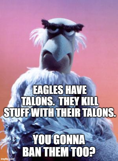 Sam The Eagle | EAGLES HAVE TALONS.  THEY KILL STUFF WITH THEIR TALONS. YOU GONNA BAN THEM TOO? | image tagged in sam the eagle | made w/ Imgflip meme maker