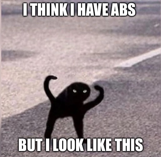 Cursed cat | I THINK I HAVE ABS; BUT I LOOK LIKE THIS | image tagged in cursed cat | made w/ Imgflip meme maker