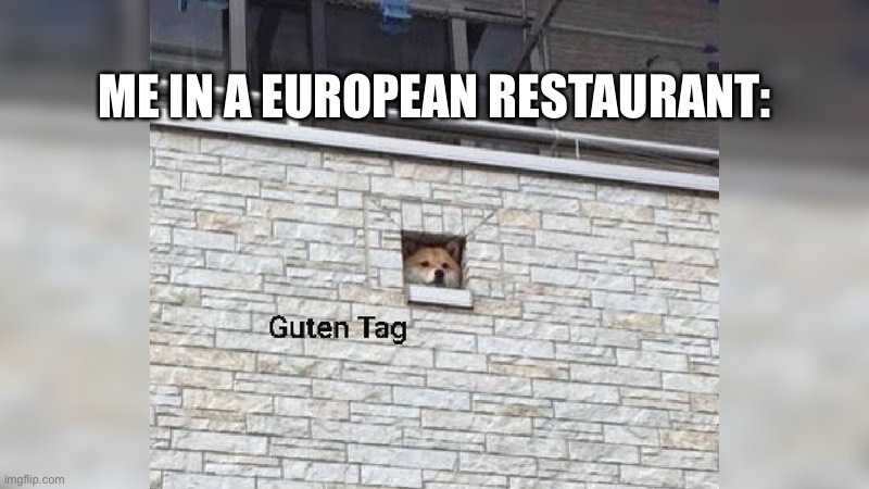 Guten Tag | ME IN A EUROPEAN RESTAURANT: | image tagged in guten tag | made w/ Imgflip meme maker