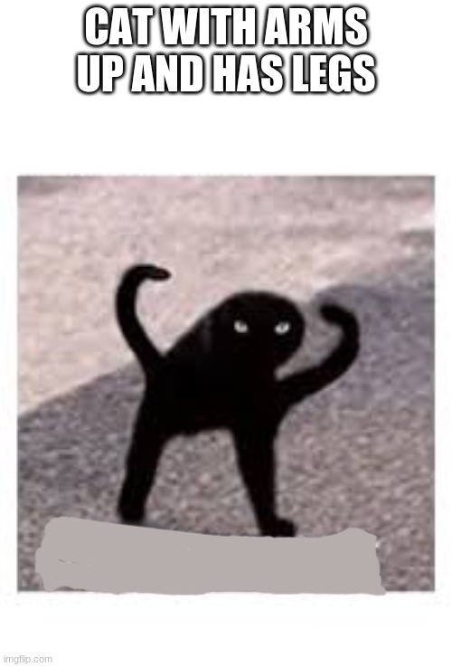 reeeeeeeeeeeeeeeeeeeeeeeeeeeeeeeee | CAT WITH ARMS UP AND HAS LEGS | image tagged in angery as fuk | made w/ Imgflip meme maker