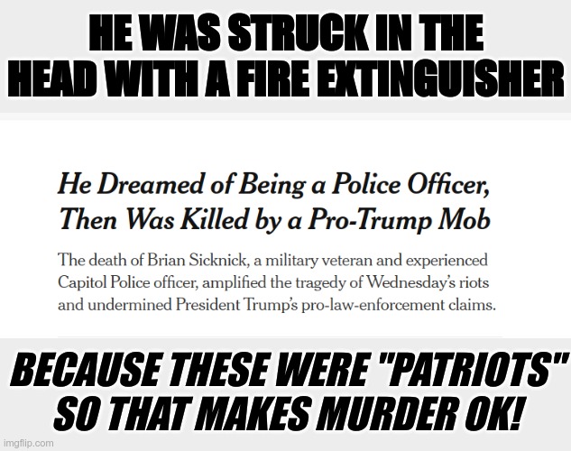Seriously why am I not surprised that none of these Trump supporters are talking about this? | HE WAS STRUCK IN THE HEAD WITH A FIRE EXTINGUISHER; BECAUSE THESE WERE "PATRIOTS"
SO THAT MAKES MURDER OK! | image tagged in murder,police,riot,capitol,trump protests,sarcasm | made w/ Imgflip meme maker