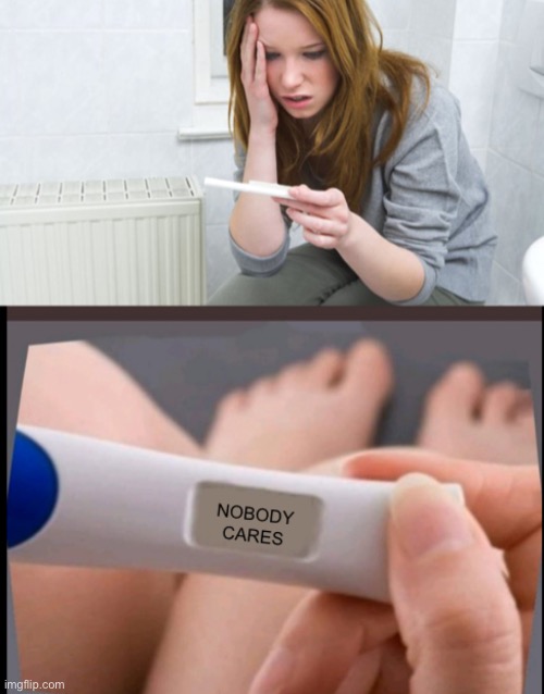 Thebigpig... because why not put my name in the title? | image tagged in pregnancy test nobody cares,nobody cares,funny | made w/ Imgflip meme maker