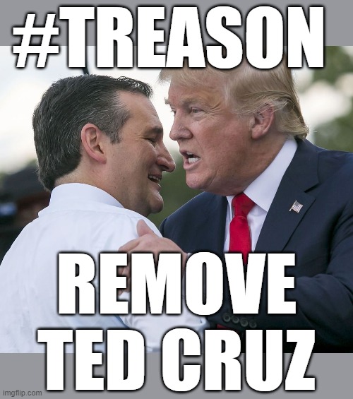 TREASONOUS TED | #TREASON; REMOVE TED CRUZ | image tagged in treason,ted cruz,trump,republican,remove,criminal | made w/ Imgflip meme maker