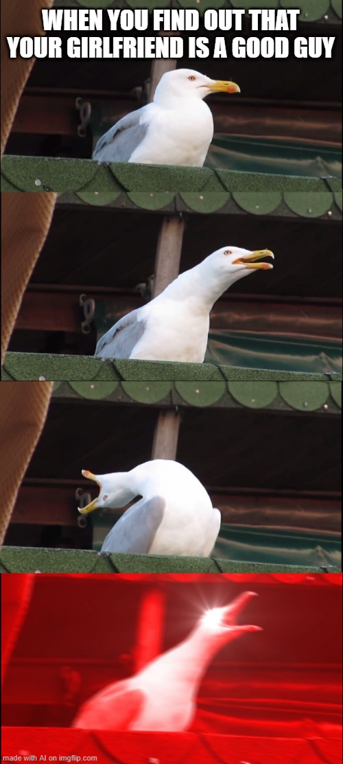 Inhaling Seagull Meme | WHEN YOU FIND OUT THAT YOUR GIRLFRIEND IS A GOOD GUY | image tagged in memes,inhaling seagull | made w/ Imgflip meme maker