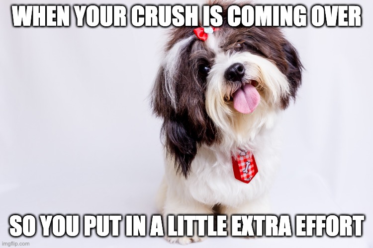 WHEN YOUR CRUSH IS COMING OVER; SO YOU PUT IN A LITTLE EXTRA EFFORT | made w/ Imgflip meme maker