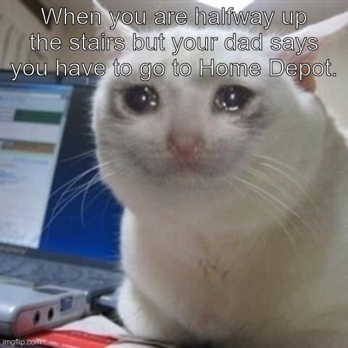 Me the other day. | When you are halfway up the stairs but your dad says you have to go to Home Depot. | image tagged in crying cat | made w/ Imgflip meme maker