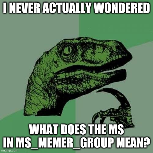 came to my head | I NEVER ACTUALLY WONDERED; WHAT DOES THE MS IN MS_MEMER_GROUP MEAN? | image tagged in memes,funny,questions,deep thoughts,philosoraptor | made w/ Imgflip meme maker
