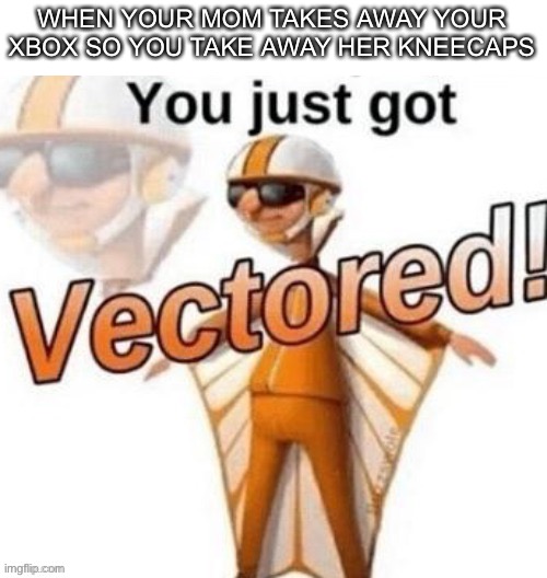 You just got Vectored | WHEN YOUR MOM TAKES AWAY YOUR XBOX SO YOU TAKE AWAY HER KNEECAPS | image tagged in you just got vectored | made w/ Imgflip meme maker