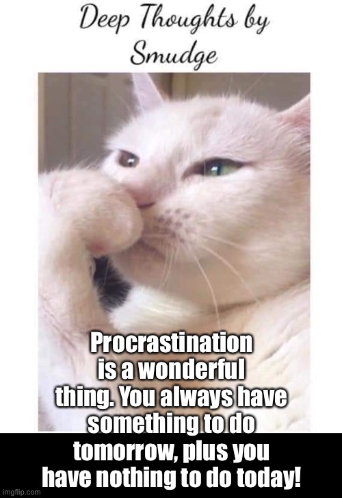 Deep thoughts by smudge | Procrastination is a wonderful thing. You always have something to do tomorrow, plus you have nothing to do today! | image tagged in deep-thoughts-by-smudge | made w/ Imgflip meme maker