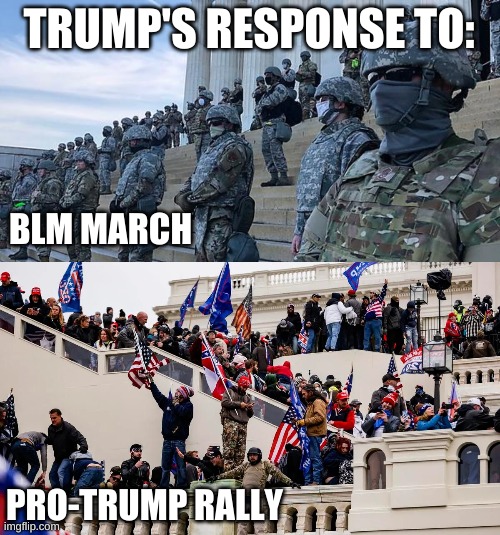 Trump Assault on Washington DC - Trump Coup | TRUMP'S RESPONSE TO:; BLM MARCH; PRO-TRUMP RALLY | image tagged in trump blm national guard,insurrection,trump,congress,blm,treason | made w/ Imgflip meme maker