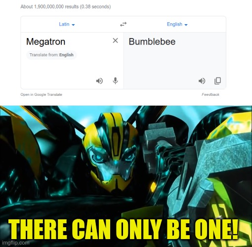 The Real Reason Bee Killed Megatron | THERE CAN ONLY BE ONE! | image tagged in transformers prime,tfp,bumblebee,megatron | made w/ Imgflip meme maker