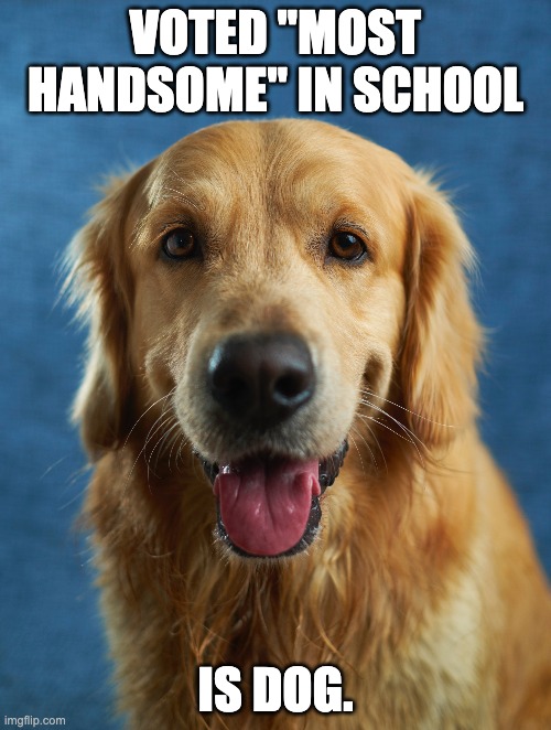 VOTED "MOST HANDSOME" IN SCHOOL; IS DOG. | made w/ Imgflip meme maker