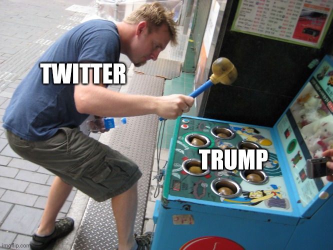 Trump keeps using alt accounts on Twitter.  He obviously can't take the hint. | TWITTER; TRUMP | image tagged in whack a mole,trump,twitter | made w/ Imgflip meme maker