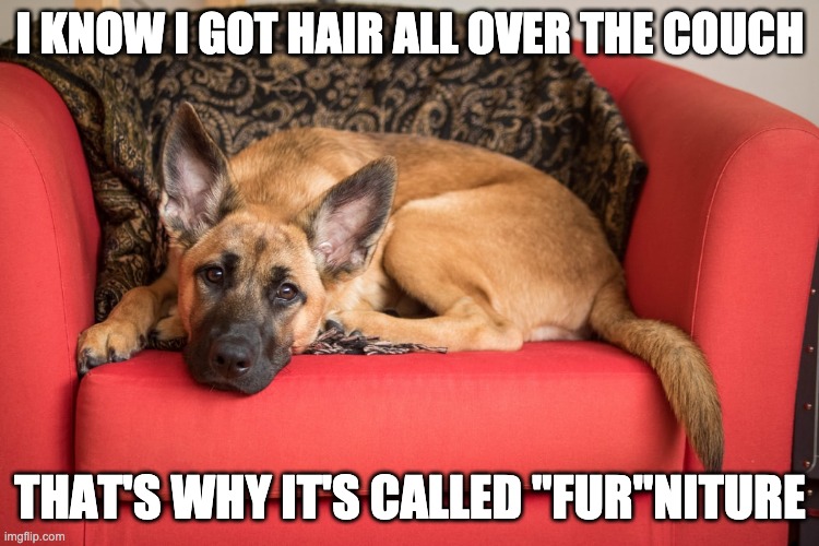 I KNOW I GOT HAIR ALL OVER THE COUCH; THAT'S WHY IT'S CALLED "FUR"NITURE | made w/ Imgflip meme maker