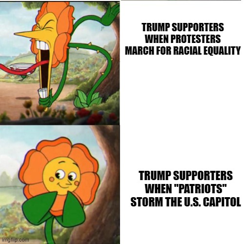 Cuphead Flower | TRUMP SUPPORTERS WHEN PROTESTERS MARCH FOR RACIAL EQUALITY; TRUMP SUPPORTERS WHEN "PATRIOTS" STORM THE U.S. CAPITOL | image tagged in cuphead flower | made w/ Imgflip meme maker