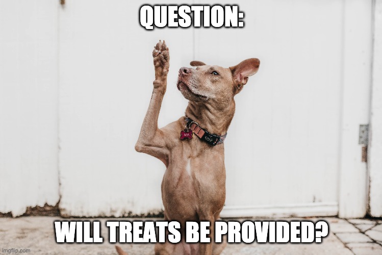 QUESTION:; WILL TREATS BE PROVIDED? | made w/ Imgflip meme maker