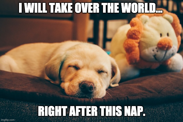 I WILL TAKE OVER THE WORLD... RIGHT AFTER THIS NAP. | made w/ Imgflip meme maker