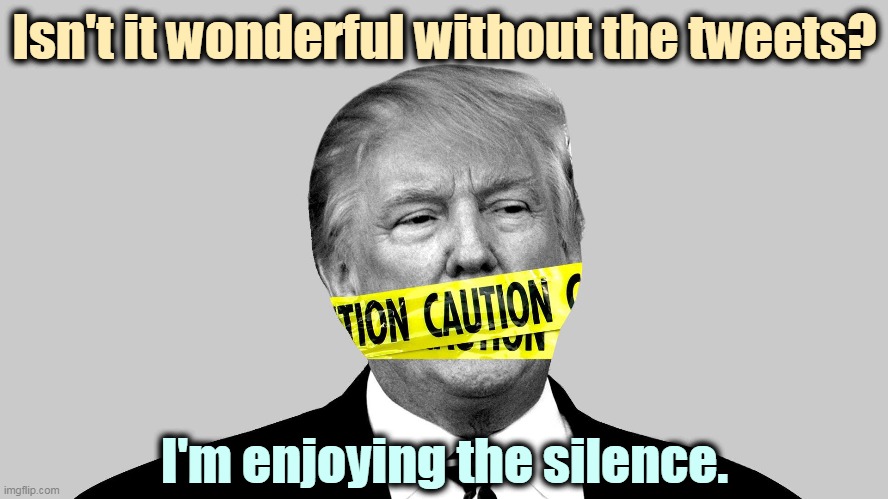 'Fess up. Aren't you? | Isn't it wonderful without the tweets? I'm enjoying the silence. | image tagged in trump mouth police yellow caution tape,trump,twitter,tweet,enough,silence | made w/ Imgflip meme maker
