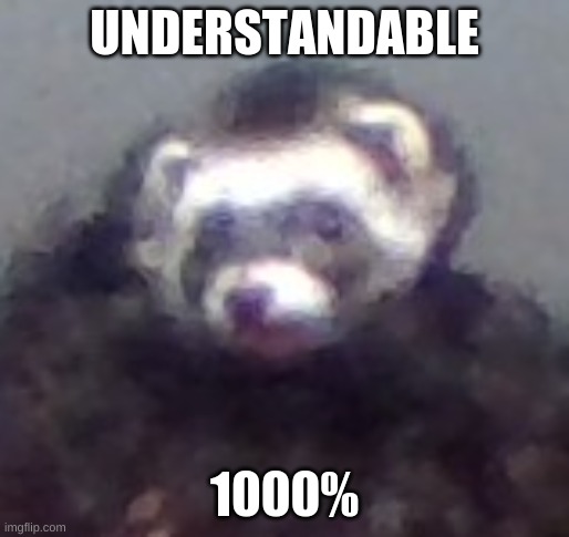 zach's ferret | UNDERSTANDABLE 1000% | image tagged in zach's ferret | made w/ Imgflip meme maker