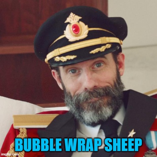 BUBBLE WRAP SHEEP | made w/ Imgflip meme maker