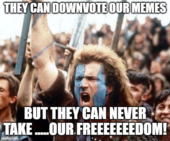 braveheart freedom | THEY CAN DOWNVOTE OUR MEMES BUT THEY CAN NEVER TAKE .....OUR FREEEEEEEDOM! | image tagged in braveheart freedom | made w/ Imgflip meme maker