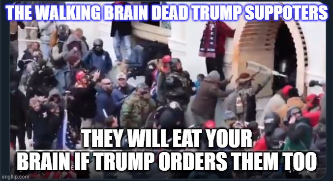 trump supporters | THE WALKING BRAIN DEAD TRUMP SUPPOTERS; THEY WILL EAT YOUR BRAIN IF TRUMP ORDERS THEM TOO | image tagged in trump supporters | made w/ Imgflip meme maker