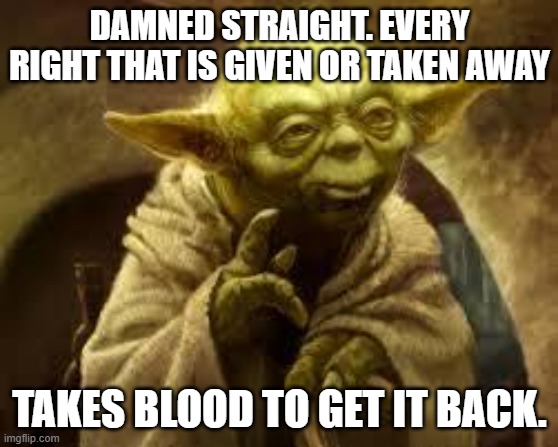 yoda | DAMNED STRAIGHT. EVERY RIGHT THAT IS GIVEN OR TAKEN AWAY TAKES BLOOD TO GET IT BACK. | image tagged in yoda | made w/ Imgflip meme maker
